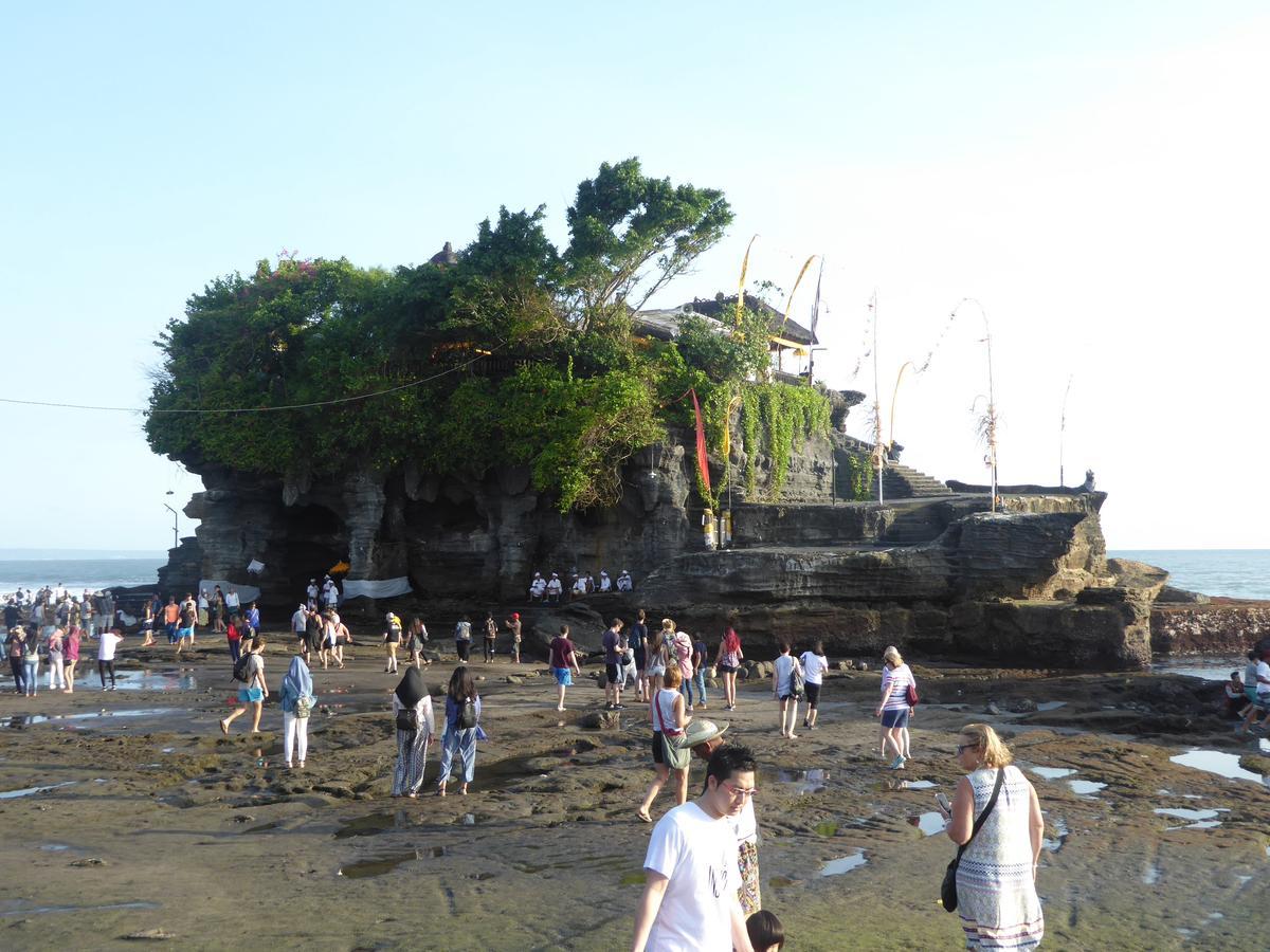 Canggu Surf Hostel المظهر الخارجي الصورة